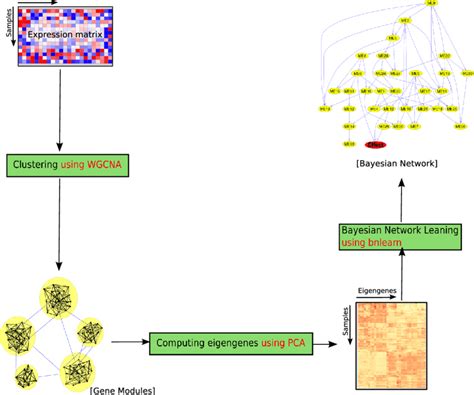 Schematic view of the methodology. (A) The input is the gene expression ...