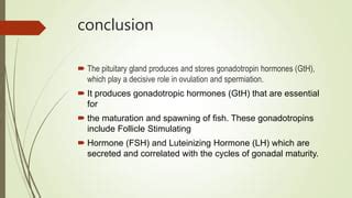 Pitutary Hormones.pptx