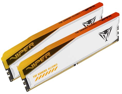 Patriot Memory And Asus Unveil Joint Venture Viper Elite Tuf