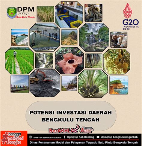 Potensi Investasi Daerah Bengkulu Tengah Berdasarkan Sektor Sektor