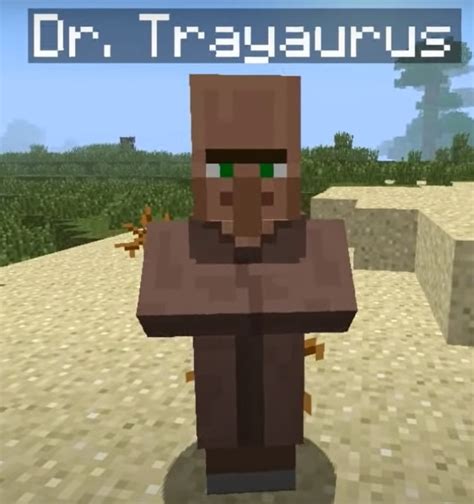 The Diamond Minecart Dr Trayaurus