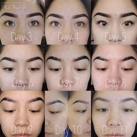 Ombre Powder Brows Genezing Dag Per Dag Izzi Beauty