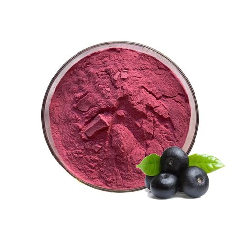 Wholesale 100 Natural Acai Extract Acai Berry Powder Freeze Dried