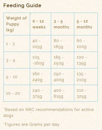 Mini Dachshund Puppy Feeding Chart