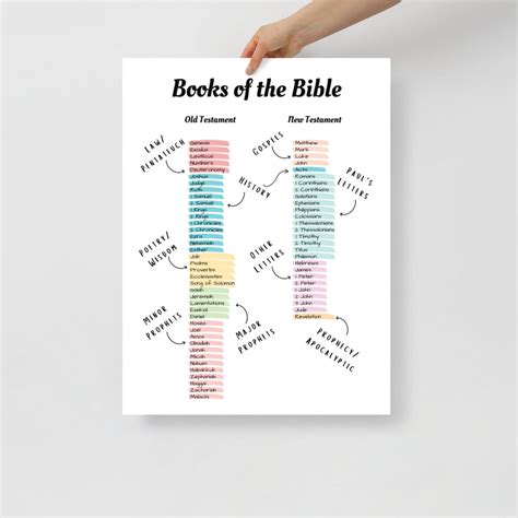 Books of the Bible Genre Poster Print Pastel Highlighted Books of the ...