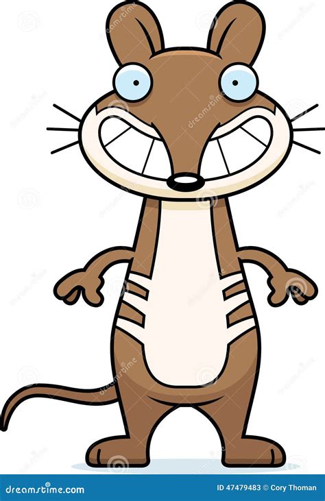 happy cartoon bandicoot stock vector illustration  happy