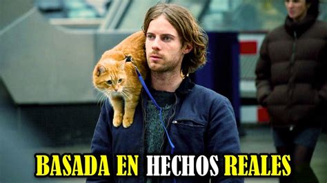 Era VAGABUNDO Pero Un GATO Callejero Lo Hizo MILLONARIO Un Gato