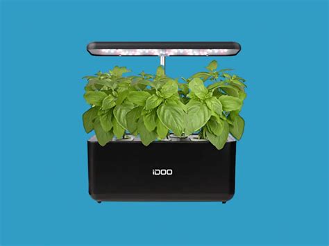 10 Best Hydroponic Systems for Growing Vegetables – Herb Examiner