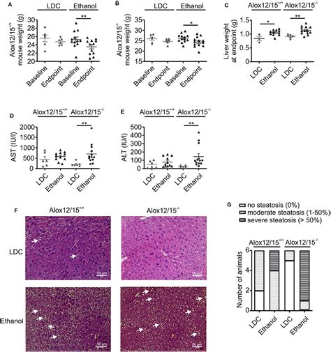 Frontiers Alox Deficiency Exacerbates While Lipoxin A