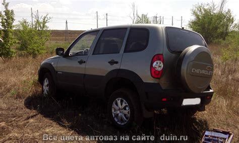 Шевроле Нива цвет Аустер 1158 серо-коричневый | Авто