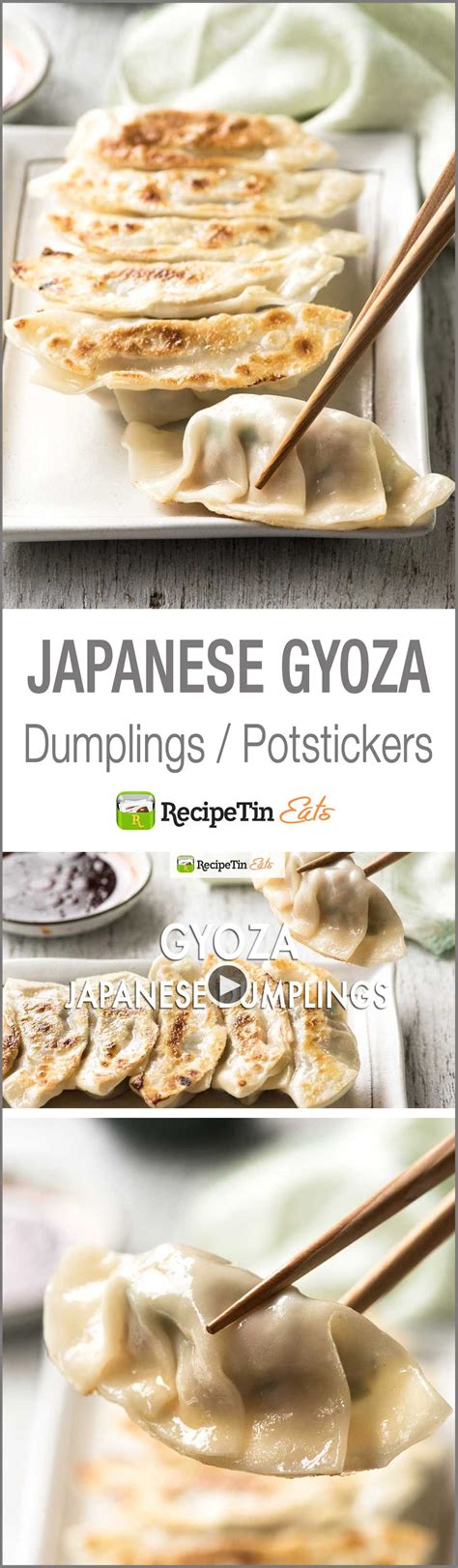 Japanese Gyoza Dumplings Recipe Recipes Recipetin Eats Food