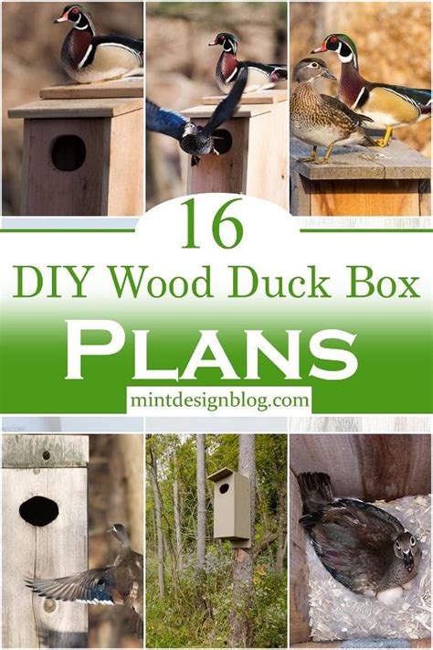 16 Diy Wood Duck Box Plans For Duckies Lovers Mint Design Blog