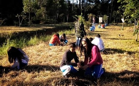 Semana do Meio Ambiente terá programação diversificada em Nova Veneza