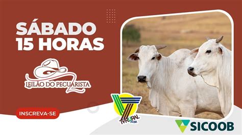 123º LEILÃO DE GADO DE CORTE AO VIVO LEILAO DO PECUARISTA SÁBADO 01