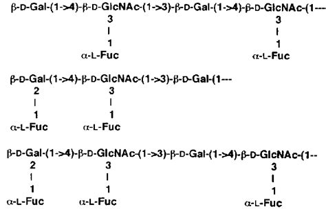 Structure Of The LPS O Antigen Of H Pylori Top Strain NCTC 11637