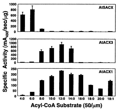 Acyl Coa Substrate Specificities Of Affinity Purified Recombinant