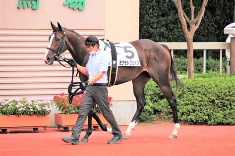 2021・9・5 新潟2r・2歳未勝利 芝1800 優勝馬タミオスター号 まさちゃんの馬うまライフ