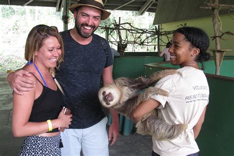 Aerial Tram And Sloth Sanctuary Experience Rainforest Canopy And