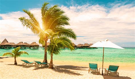 Cheap Caribbean Trips - Kangmusofficial.com