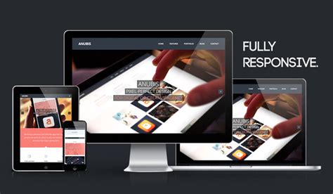 Anubis Responsive Retina Ready HTML Template Behance