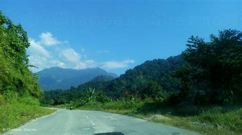 Momos in Bhutan, Oranges from Arunachal and the lush greens of Assam ...