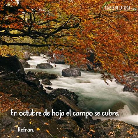 Introducir Imagen Frases Celebres Octubre Abzlocal Mx