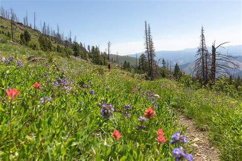 Two Amazing Day Hikes in Idaho’s Seven Devils | Hiking in Idaho