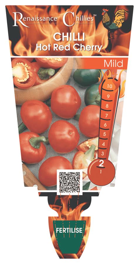 Chilli Hot Red Cherry Renaissance Herbs