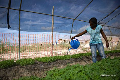 Enhancing climate, social and economical resilience of women farmers