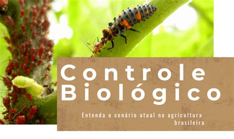 Controle Biológico o que é como funciona e tipos de controle