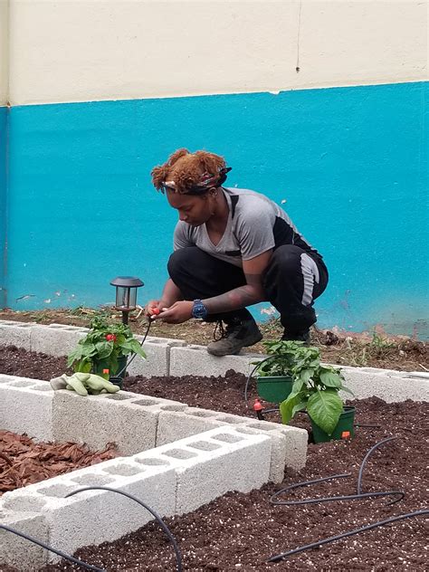 2022 Puerto Rico service-learning trip | College of Agricultural Sciences