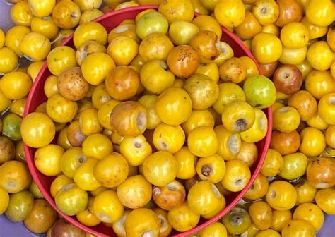 A Taste Of El Salvador Exotic Fruits Of El Salvador To Savor Today