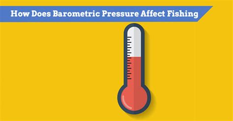 How Does Barometric Pressure Affect Fishing? (Low vs High Pressure)