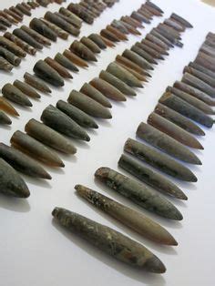 11 Belemnites ideas | fossil, fossils, pretty rocks