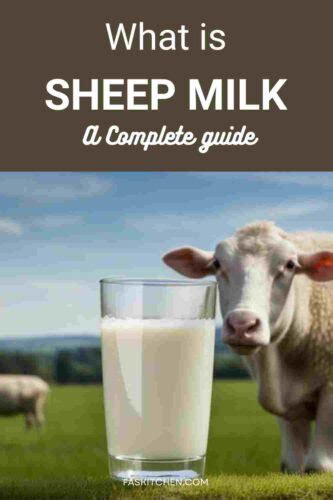 Sheep Milk 101: Nutrition, Benefits, How To Use, Buy, Store | Sheep ...