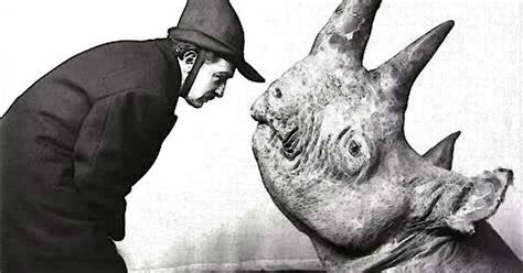 A Play For Our Time Ionescos “rhinoceros” Hollywood Progressive