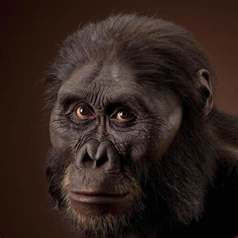 Australopithecus - Alchetron, The Free Social Encyclopedia