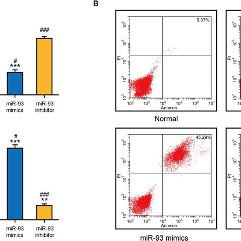 Effects Of Mir On Ogd R Induced Apoptosis Of Rgcs A Cell