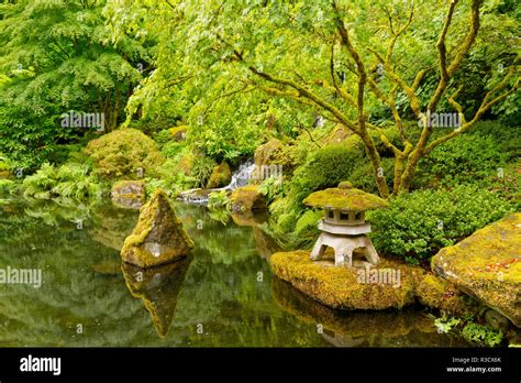 The Portland Japanese Garden, Washington Park in the west hills of ...