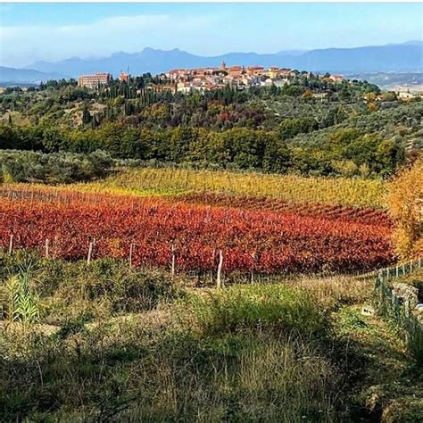 Autumn In Tuscany