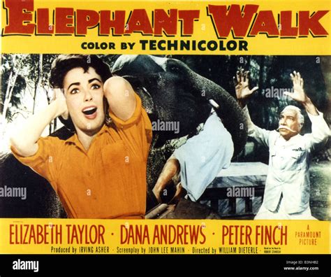 Download This Stock Image Elephant Walk Poster For 1954 Paramount Film