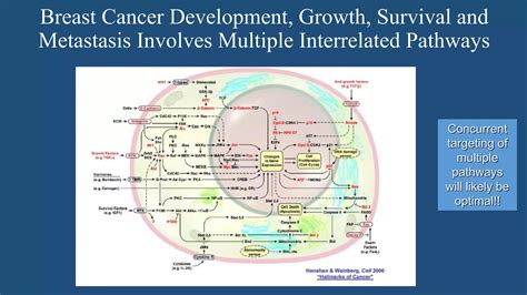 Molecular Biology Of Breast Cancer [autosaved] Ppt