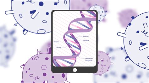 Comparing The Diagnostic Potential Of Ev Protein And Dna Markers For