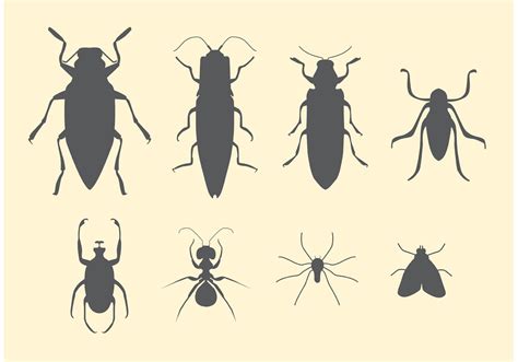 Free Vector Set Of Insects Download Free Vector Art Stock Graphics And Images