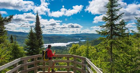 From Montreal: Mont-Tremblant National Park Hiking Day Trip | GetYourGuide