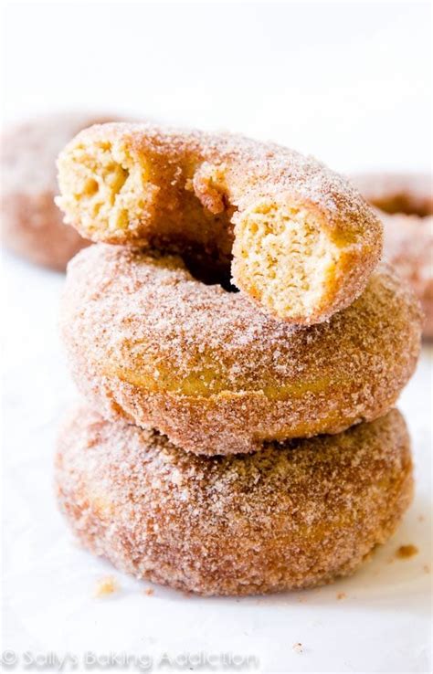 Baked Cinnamon Sugar Donuts Sallys Baking Addiction