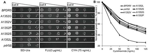 Drug Resistance Profiles Of Pdr D S Cerevisiae Cells Expressing Wild