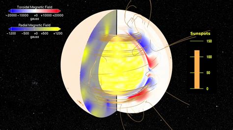 Nasa Svs The Solar Dynamo Toroidal And Poloidal Magnetic Fields