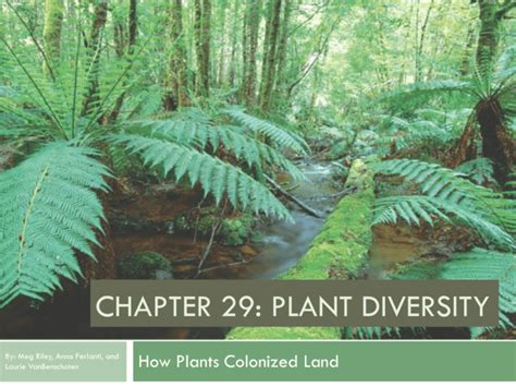 Chapter Plant Diversity