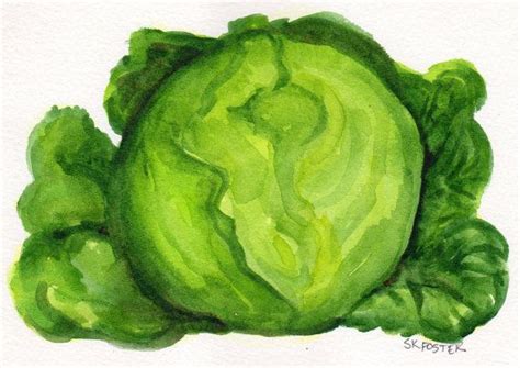 Cabbage Painting Watercolor 4 X 6 Original Veggie Series Etsy